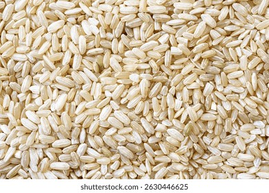 Full frame close up flat lay texture of brown rice for food and nutrition background. Healthy eating and cooking concept with copy space pattern of organic grains.