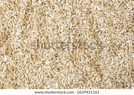 Full frame close up flat lay texture of brown rice for food and nutrition background. Healthy eating and cooking concept with copy space pattern of organic grains.