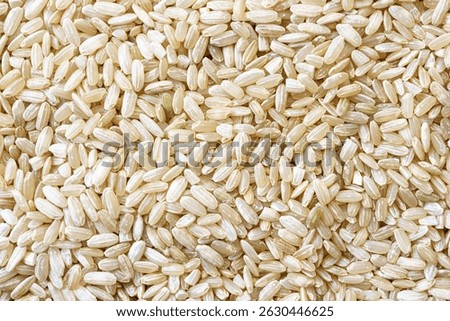 Full frame close up flat lay texture of brown rice for food and nutrition background. Healthy eating and cooking concept with copy space pattern of organic grains.