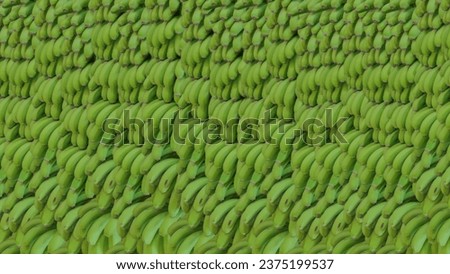 Full frame close up of green banana textured. Frames with fresh unripe banana. Stacked green banana shrubs.