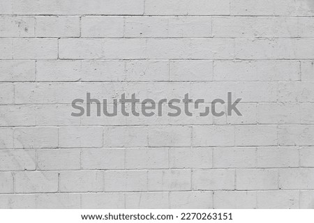 Full frame close up on a cinder block wall painted in white.