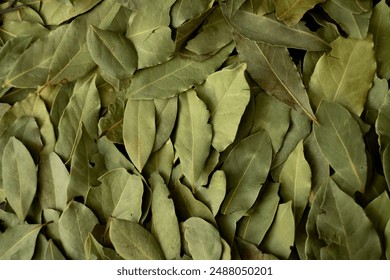 Full Frame of Dried Bay Leaves, Perfect for Culinary and Herbal  - Powered by Shutterstock