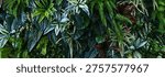 Full Frame of Green Leaves Pattern Background, Nature Lush Foliage Leaf Texture, tropical leaf