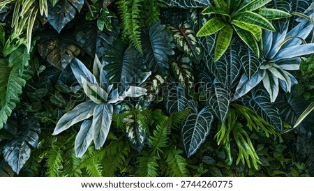 Full Frame of Green Leaves Pattern Background, Nature Lush Foliage Leaf Texture, tropical leaf