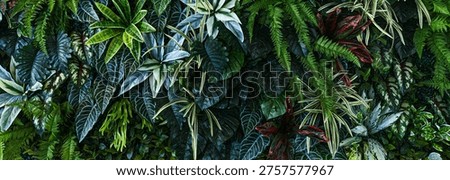 Full Frame of Green Leaves Pattern Background, Nature Lush Foliage Leaf Texture, tropical leaf