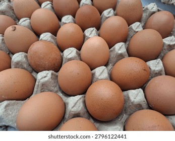 Full frame high angle view of fresh brown chicken eggs neatly arranged in a paper egg carton tray.