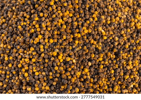 Full frame macro shot of roasted chickpeas or roasted grams  with foodclose up close up fullframe background ingredient seasoning