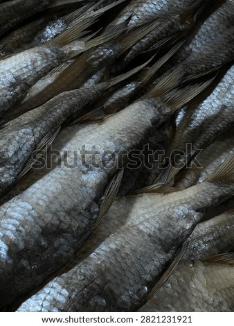 Full frame macro texture of dried salted fish showing silver scales, tails, and detailed skin surface