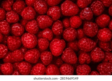 Full frame macro texture of fresh ripe red raspberries harvested in summer
