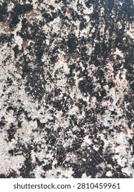 Full frame macro texture of an old weathered concrete wall covered with black mold and moss growth