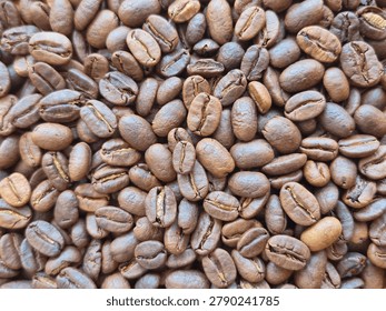 Full frame macro texture of premium roasted Aceh Gayo arabica coffee beans background.
