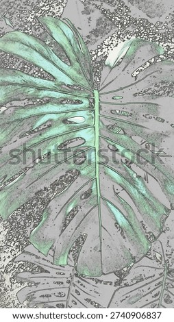 Full frame of monstera leaves pattern 
