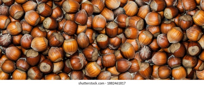 Full Frame of organic hazelnuts with nutshell, flat lay. Top view autumn texture backdrop. Harvest, fall concept. Filbert, nut frame. Food ingredient hazelnut Background, macro detailed close up