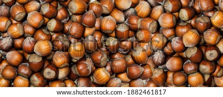 Full Frame of organic hazelnuts with nutshell, flat lay. Top view autumn texture backdrop. Harvest, fall concept. Filbert, nut frame. Food ingredient hazelnut Background, macro detailed close up