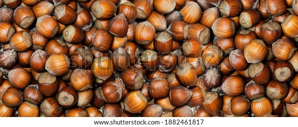 Full Frame of organic hazelnuts with nutshell, flat\
lay. Top view autumn texture backdrop. Harvest, fall concept.\
Filbert, nut frame. Food ingredient hazelnut Background, macro\
detailed close up