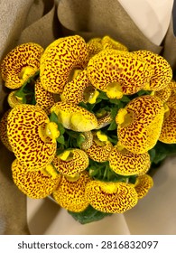 Full frame overhead view of a vibrant yellow and red speckled calceolaria bouquet, close up texture background of exotic pocketbook slipper flowers wrapped in brown craft paper.