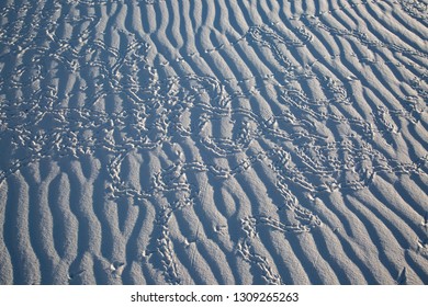 A Full Frame Photograph Of Animal Tracks In Gypsum Sand, In White Sands National Monument