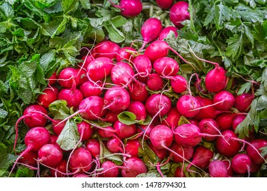 A full frame photograph of radishes and herbs for sale on a market stall