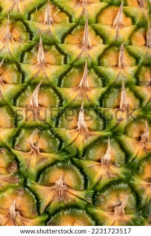 Full frame of pineapple peel as background. Abstract pineapple peel background.