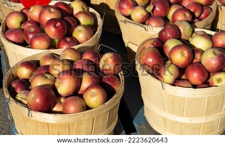 full frame of ripe red apples in brown wooden buckets at a farmer's market. Quebec apples. Shelf of Multicolours Apples.