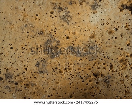 
Full frame of of the rugose textures of a sponge of bath, abstract background
