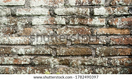 Full frame shoot of mossy brick walls