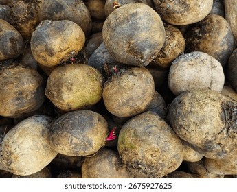 Full frame shot of beetroot 