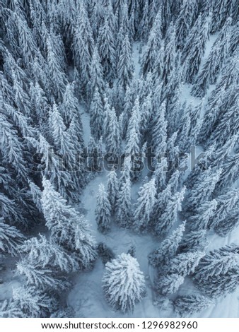 Similar – Winter in the Giant Mountains near Pec pod Snezkou, Czech Republic