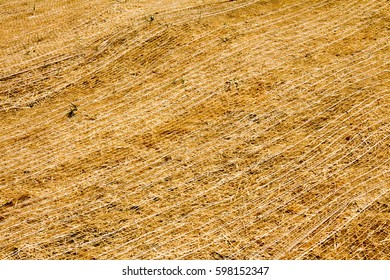 Full Frame Straw Erosion Control On A Hillside