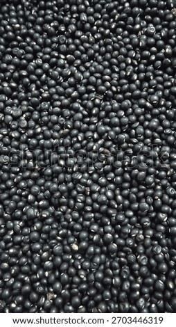 Full frame texture background of a large quantity of black gram beans, Gude call in Indonesia. Healthy dried legumes for culinary and agricultural concepts. High protein food.