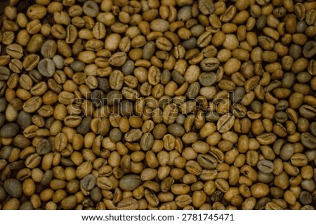 Full frame texture background of raw green coffee beans before roasting