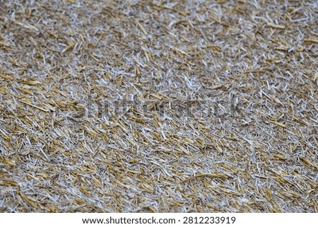 Full frame texture of dry grain chaff and straw after agricultural harvest view 1