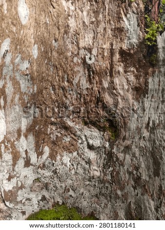 Full frame texture of the lower part of a weathered old tree stump with gnarly grain and lichen