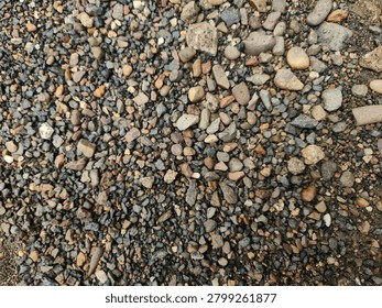 Full frame texture of mixed wet and dry river gravel with colorful small pebbles and coarse sand

A high-resolution, full-frame shot capturing a dense layer of natural river gravel and small multi-colored pebbles mixed with coarse volcanic soil. This organic earthy texture serves as an excellent background for construction, landscaping, and environmental design concepts.