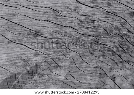 A full frame view of a worn and weathered tree trunk..