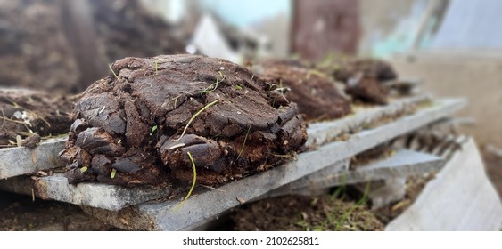 Full Hd Wallpaper Of Dried Cow Dung