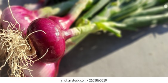 Full Hd Wallpaper Of Green Onion