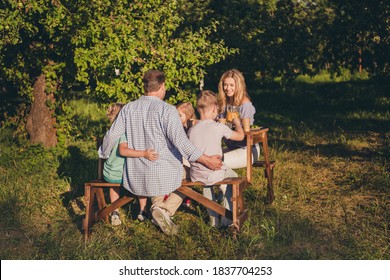 Full Length Back Rear Spine View Photo Of Family People Sit Table In Outside Green Park Garden Enjoy Summer Picnic Gathering Lunch Dad Daddy Embrace Little Full Kids Boys