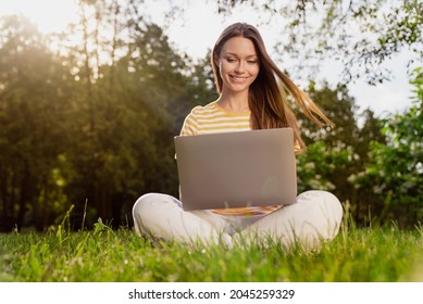 Full Length Body Size Photo Woman Sitting On Grass Using Laptop Working Remotely In Summer Park