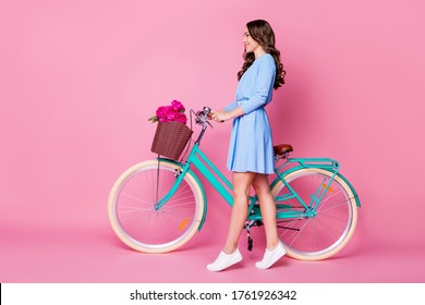 Full Length Body Size Profile Side View Of Her She Attractive Pretty Cheerful Wavy-haired Lady Gardener Walking Bike Wearing Smart Casual Floristry Shop Delivery Isolated Pink Pastel Color Background