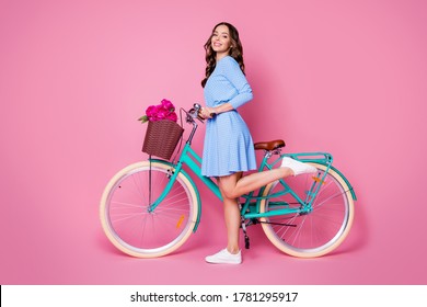 Full Length Body Size Profile Side View Of Her She Attractive Lovely Pretty Cheerful Wavy-haired Lady Florist Gardener Walking Bike Floral Shop Delivery Isolated Pink Pastel Color Background