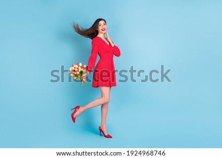 Full length body size profile side view of pretty amazed cheerful girl holding tulips walking isolated over bright blue color background
