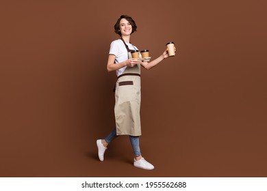 Full length body size view of attractive cheerful girl bringing coffee serving isolated over brown color background