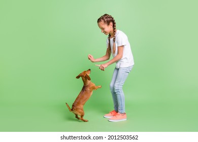 Full length body size view of lovely cheerful careful preteen girl feeding adorable puppy teaching isolated over green color background - Powered by Shutterstock