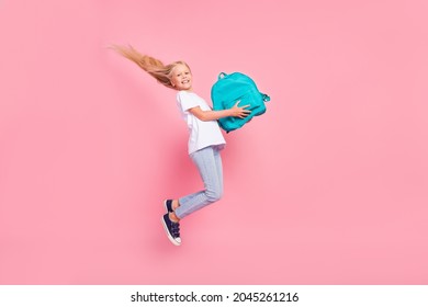 Full length body size view of attractive cheerful girl jumping holding bag having fun isolated over pink pastel color background - Shutterstock ID 2045261216