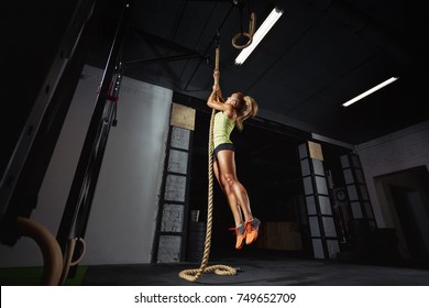 Full length low angle shot of a woman performing rope climbs at the gym copyspace performance agility biceps strong energetic athletics healthy powerful determination concept. Crossfit and fitness  - Powered by Shutterstock