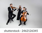 Full length of musicians playing cello and violins