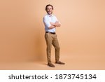 Full length photo of man crossed arms toothy smile wear specs shirt trousers shoes isolated beige color background