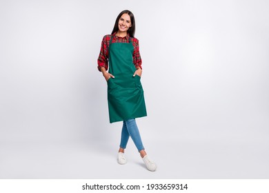 Full length photo of positive young woman waitress hold hands apron pockets isolated on grey color background