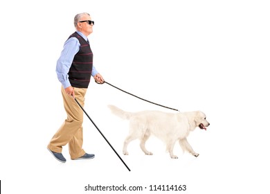 Full length portrait of a blind man moving with walking stick and his dog, isolated on white background